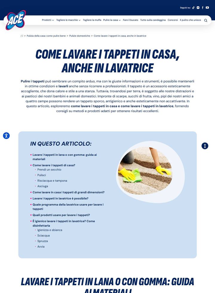La parte alta della pagina di ACE