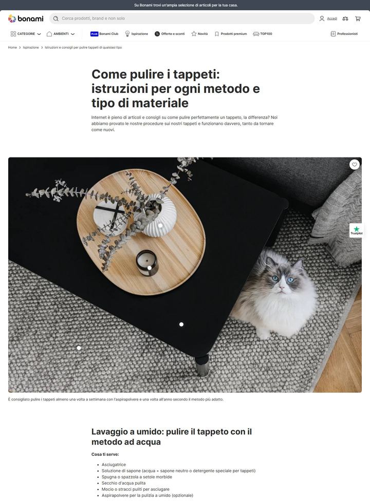 La parte alta della pagina di Bonami